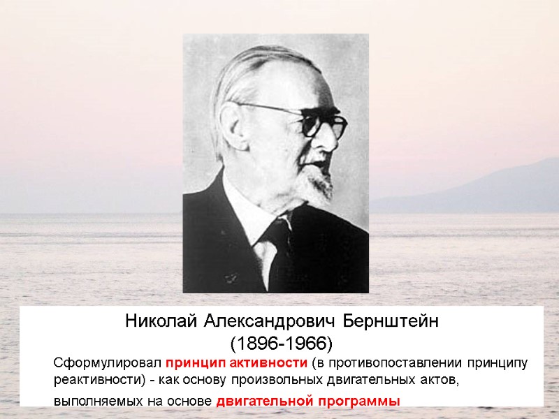 Николай Александрович Бернштейн (1896-1966)  Сформулировал принцип активности (в противопоставлении принципу реактивности) - как